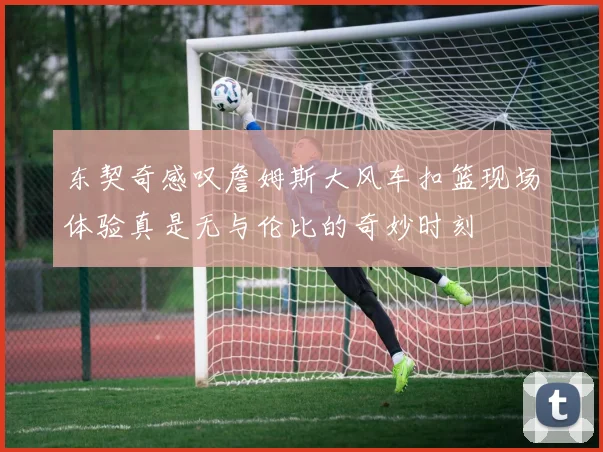 东契奇感叹詹姆斯大风车扣篮现场体验真是无与伦比的奇妙时刻