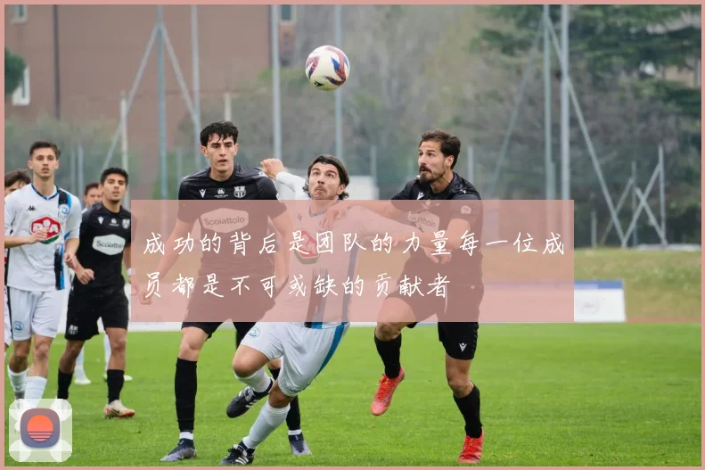 成功的背后是团队的力量每一位成员都是不可或缺的贡献者